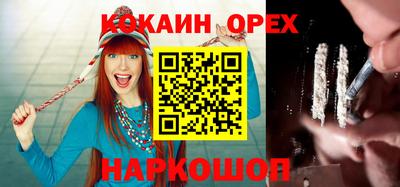 прущие грибы Сланцы