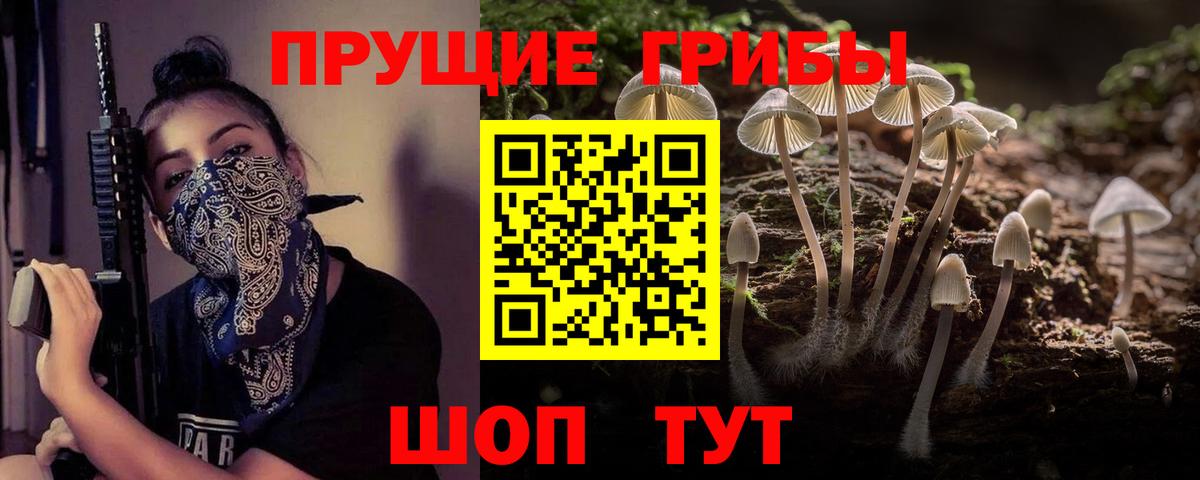Псилоцибиновые грибы Cubensis Ноябрьск
